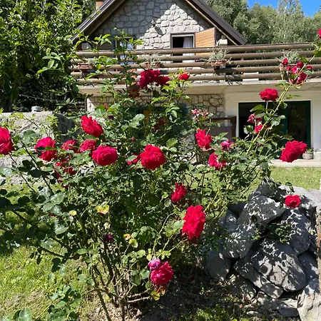 Sanmari_forest Σαλέ Ledenice